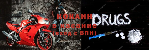 apvp Алзамай